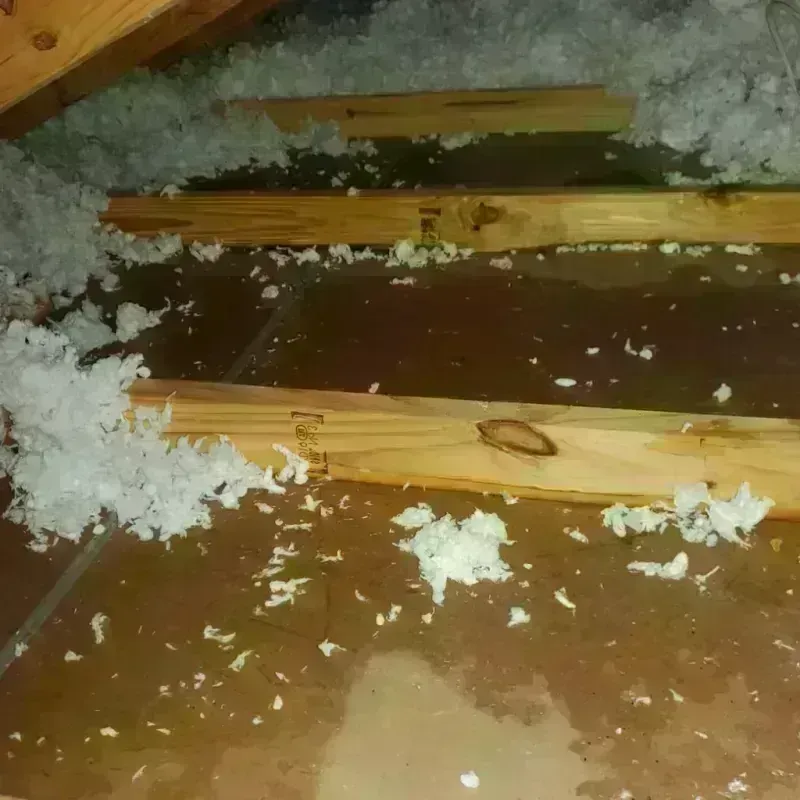 Attic Water Damage in Chemung County, NY